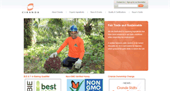 Desktop Screenshot of ciranda.com